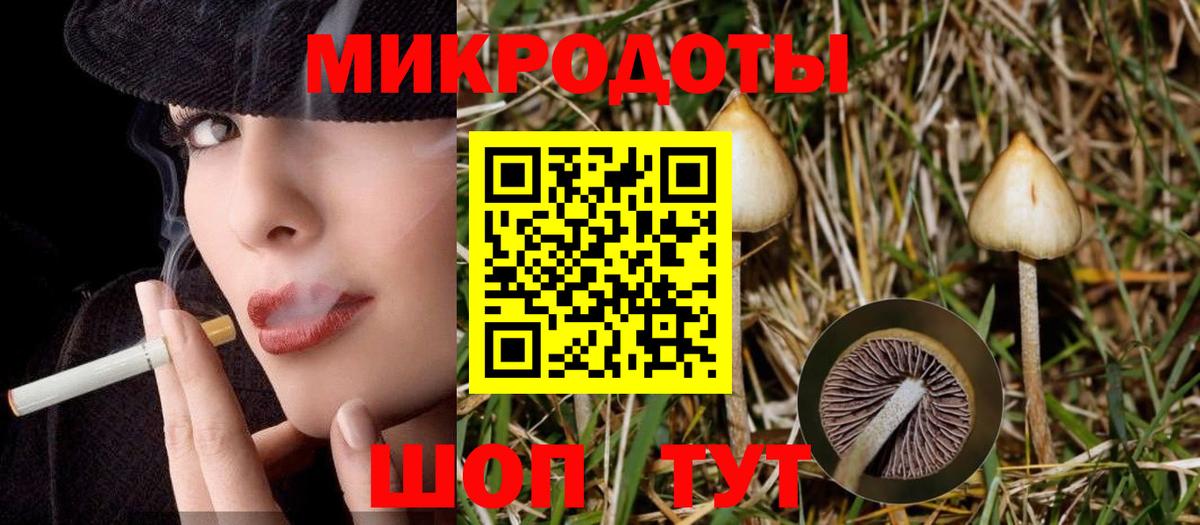 Новокузнецк  Псилоцибиновые грибы Psilocybe  Вход с VPN 